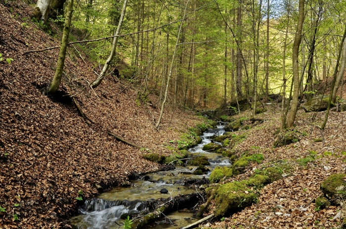 Prašnická dolinka